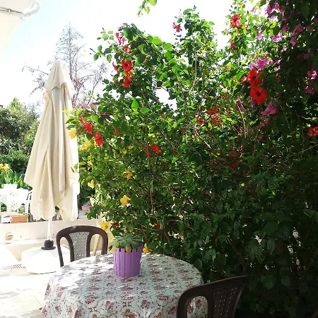 מלון Cizmeci Apart