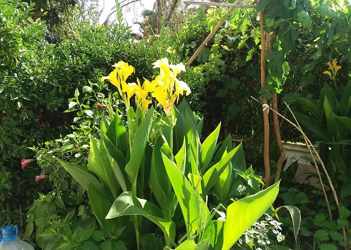 Cizmeci Apart Готель Чешме